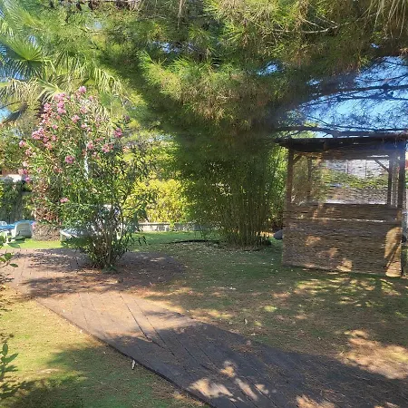 Apartment Garden Vir