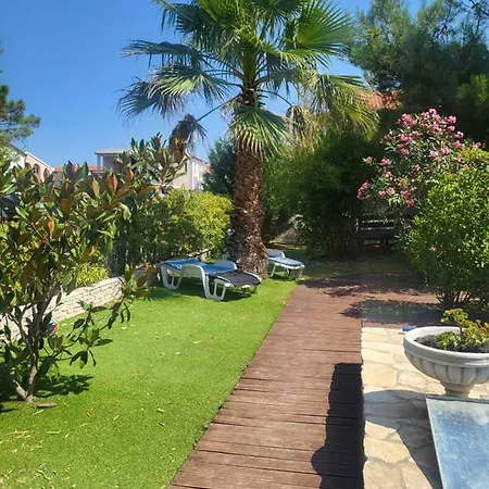 Garden *