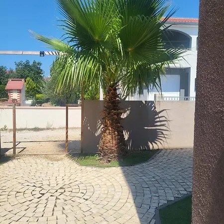 Garden *