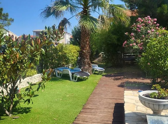Garden *