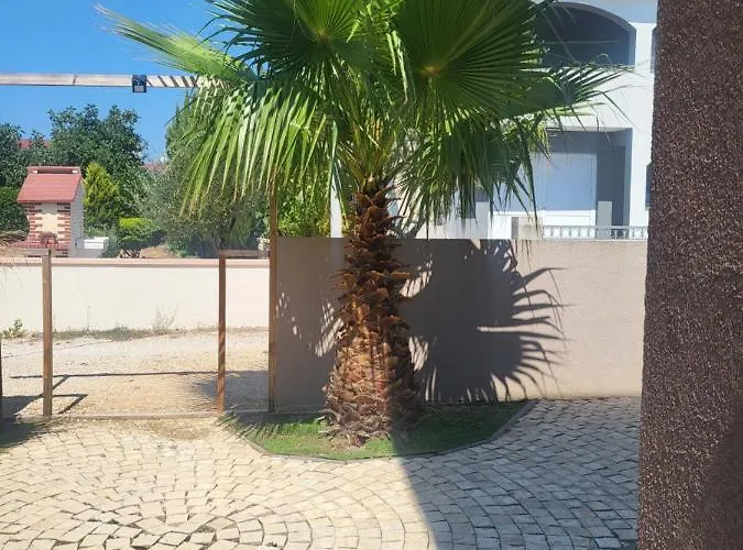 Garden *